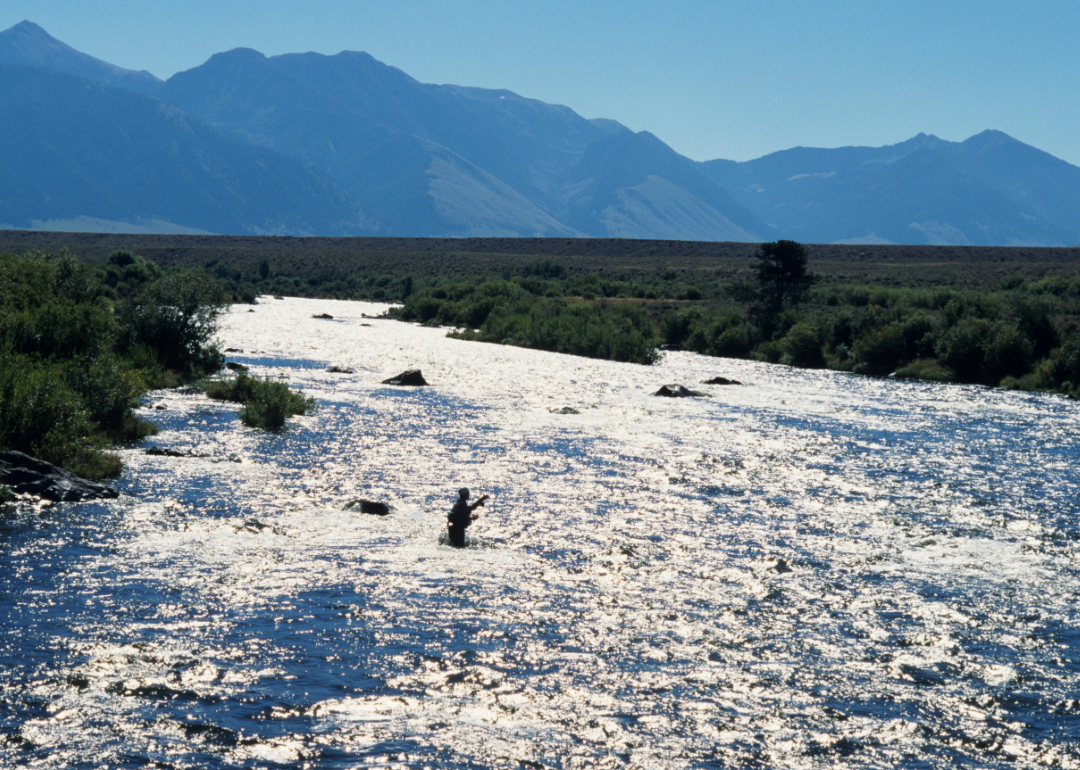 #3. Montana